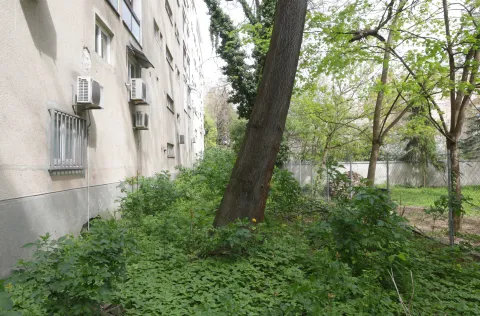 Dragan Ivković upozorava: Ovo je &ldquo;zelena oaza&rdquo; za &scaron;takore u sredi&scaron;tu Osijeka