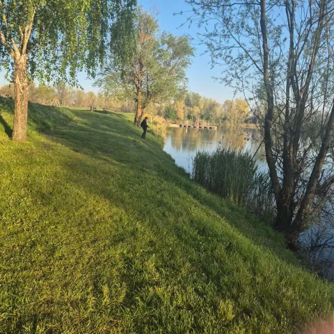 Bajer na Jugu 2 travanj 2026.Snimila: Ivana Rab Gulja&scaron;