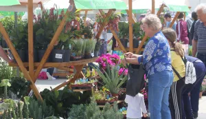 Jubilarno okupljanje ljubitelja hortikulture: Peti Proljetni festival u Čepinu