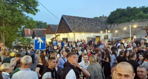 Proljetno buđenje Baranje od prvosvibanjskog graha do vina i tista