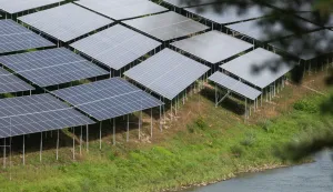 Slovenija Prepolje 03.10.2022, 03.oktober 2022Solarna elektrarna na bregu reke Drave poleg hidroelektrarne Zalatoličje, sočna energija elektrika solarni paneli, posel Photo: Milos Vujinovic/F.A. BOBO