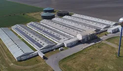 YUN_0004.JPGSokolovac podravka agri