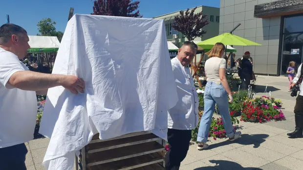 Tomislav &Scaron;piček, Čepin