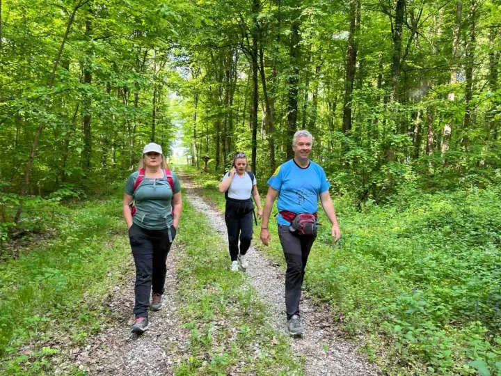 Camino ruta prolazi kroz Spačvansku &scaron;umufoto: VSŽ