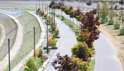 Osijek, 31. 07. 2025., slobodnjak; slobodnjaci, donjogradsko &scaron;etali&scaron;te; donjogradska promenada; ljeto; hortikultura, stabla; mlada stablaSNIMIO BRUNO JOBST