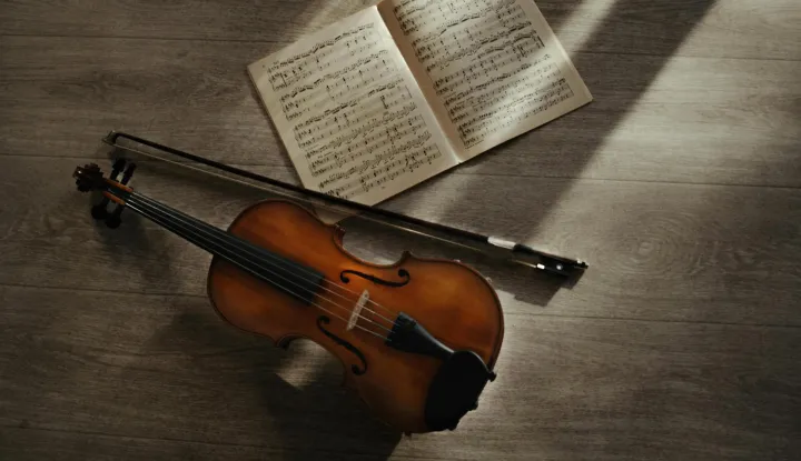 volina, violine
