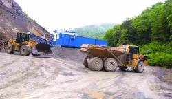 Detlj iz kamenoloma Radlovac