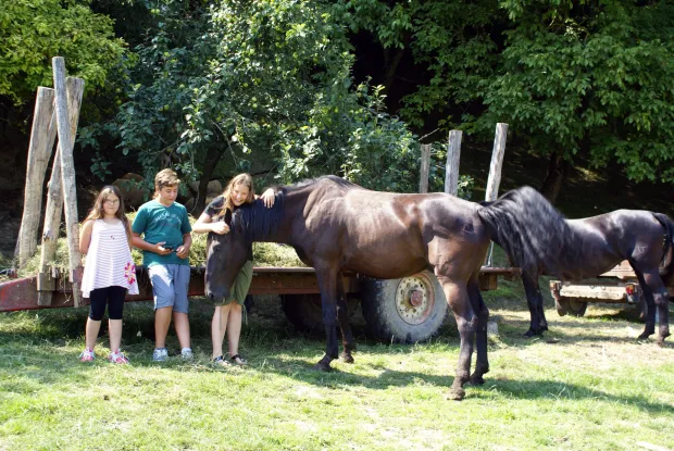 RURALNI TURIZAM: VUKSANICI I NJIHOVI KONJI      