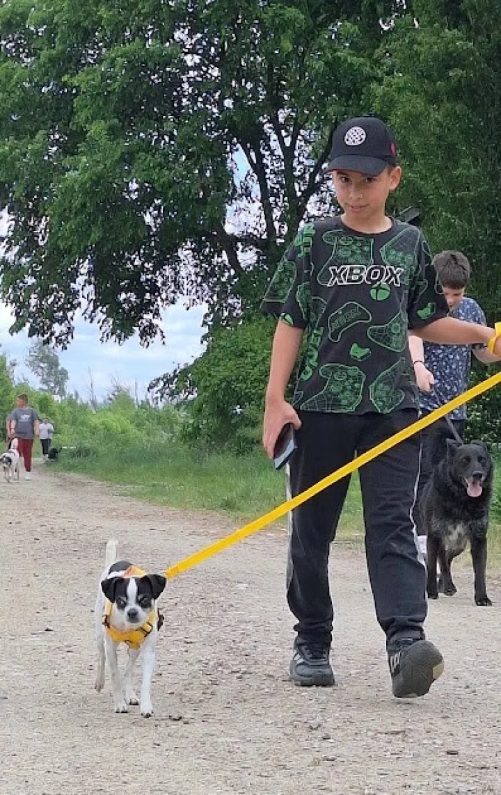 O&Scaron; Dalj odnio donaciju Azilu za pse, a učenici i pro&scaron;etali pse