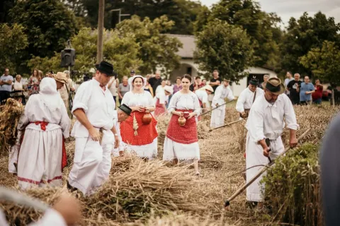 Žetva i vr&scaron;diba u pro&scaron;losti u Županjifoto: TZ Županje