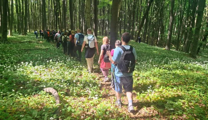 Na papučkim obroncima 16 planinarskih dru&scaron;tava