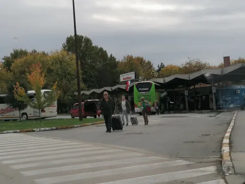 Na autobusnom kolodvoru u Županji, snimila Marija Le&scaron;ić Omerović