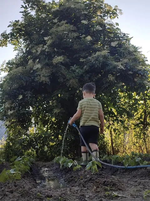 Odselili se iz centra u Podravlje i procvjetali: Imamo petero zdrave djece u kućici u cvijeću i imamo jedno drugo. Dakle, imamo sve