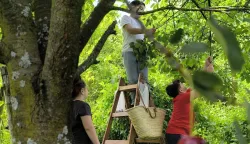 Odselili se iz centra u Podravlje i procvjetali: Imamo petero zdrave djece u kućici u cvijeću i imamo jedno drugo. Dakle, imamo sve