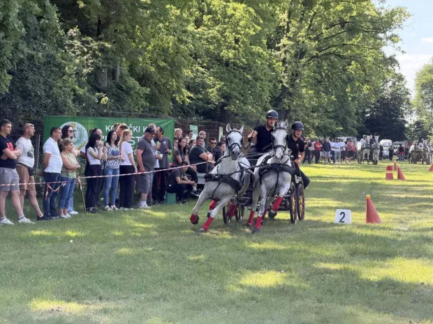 13. konjička revija Vinkovci