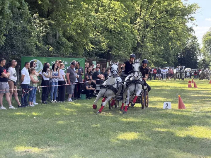 13. konjička revija Vinkovci