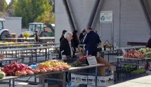 Tržnica Beli Manastir
