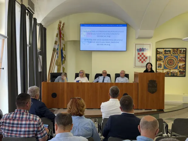 Sjednica gradskog vijeća Vinkovaca