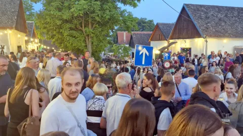 Vinatlon, Zmajevac