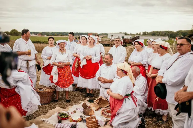 Žetva i vr&scaron;idba u pro&scaron;losti u Županjifoto: TZ Županje