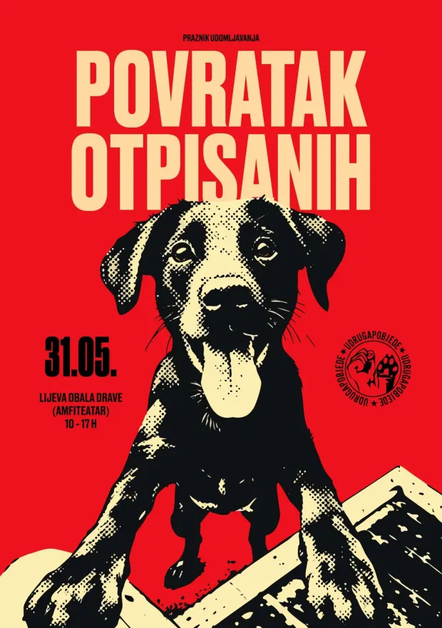 Povratak otpisanih, Azil za pse, Udruga pobjede