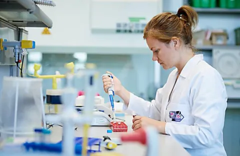 epa05569699 Doctor Ewelina Krol from the Intercollegiate Faculty of Biotechnology of the University of Gdansk and the Medical University of Gdansk during her work in the university laboratory in Gdansk, Poland, 04 October 2016. Doctor Krol leads the Department of Vaccines Recombinant Intercollegiate Faculty of Biotechnology of University of Gdansk and Medical University of Gdansk, where she conducts the research on safe and inexpensive vaccine against the virus Zika. Doctor Krol, for the project 'A vaccine against the virus Zika - Innovative receiving subunit antigens', received more than 1 million 195 thousand polish zloty from the Polish National Research and Development Centre, reaching the first place of the ranking list. EPA/ADAM WARZAWA POLAND OUT