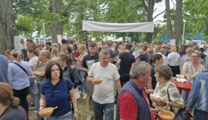 Baranjski bećarac, Festival tista, Topolje 2026.
