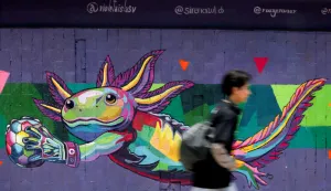 FILE PHOTO: A youth walks past a wall featuring an image of the critically endangered axolotl, a salamander native to central Mexico's lakes, as its use in public imagery ahead of the FIFA World Cup 2026 has divided residents who say more should be done to protect its habitat, in Mexico City, Mexico, June 3, 2026. REUTERS/Quetzalli Nicte-Ha/File Photo Photo: QUETZALLI NICTE-HA/REUTERS