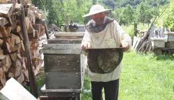 STJEPAN OKRUGIĆ I S 94 GODINE JO&Scaron; UVIJEK PČELARISNIMIO: VLADIMIR GRGURIĆ