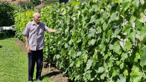 Belomanastirac odlučio produžiti vozačku dozvolu u - 90. godini