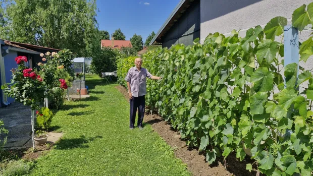 Belomanastirac odlučio produžiti vozačku dozvolu u - 90. godini