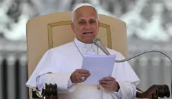 Pope Leo XIV addresses the crowd during the weekly general audience at St Peter's Square in The Vatican on June 17, 2026. (Photo by Andreas SOLARO/AFP)