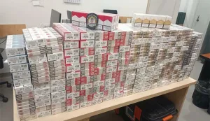 Na graničnom prijelazu Slavonski Brod spriječeno krijumčarenje cigareta 