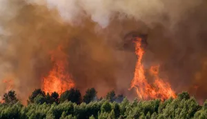 This photograph shows a wildfire raging near houses in Pouzols-Minervois, southwestern of France, on July 2, 2026. Hundreds of firefighters are battling wildfires in the south that are being fueled by wind, drought, and heat. The largest fire is in the Aude department, but there are also fires north of Marseille, where Prime Minister is expected to chair a new interministerial crisis task force. (Photo by Idriss Bigou-Gilles/AFP)
