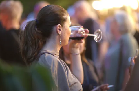 Osijek, 04. 07. 2025., Perivoj kralja Tomislava, Wine vino i umjetnost, večer vina i umjetnosti, vino, ča&scaron;a vina, atmosfera, ljudi, gužvaSNIMIO BRUNO JOBST