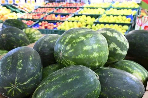 lubenice konzum