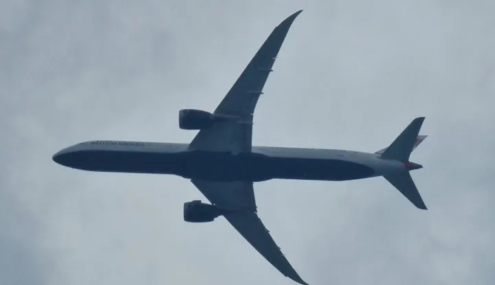 avion avion
