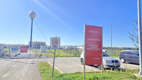 U Baranji je sve manje svinjogojaca, u strahu su od nove pojave afričke svinjske kuge