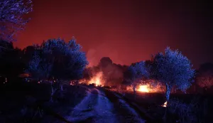 TOPSHOT - Vegetation in a residential neighborhood is engulfed in flames in Cotignac, southeastern France, on July 22, 2026. A wildfire advancing at surprising speed in southern France forced the evacuation of nearly 400 people from several villages on July 21, 2026, the top official for the Var region said. The evacuations took place around the villages of Cotignac, Montfort-sur-Argens and Correns, and some 1,700 hectares (4,200 acres) have already burned, the official added. (Photo by Thibaud MORITZ/AFP)