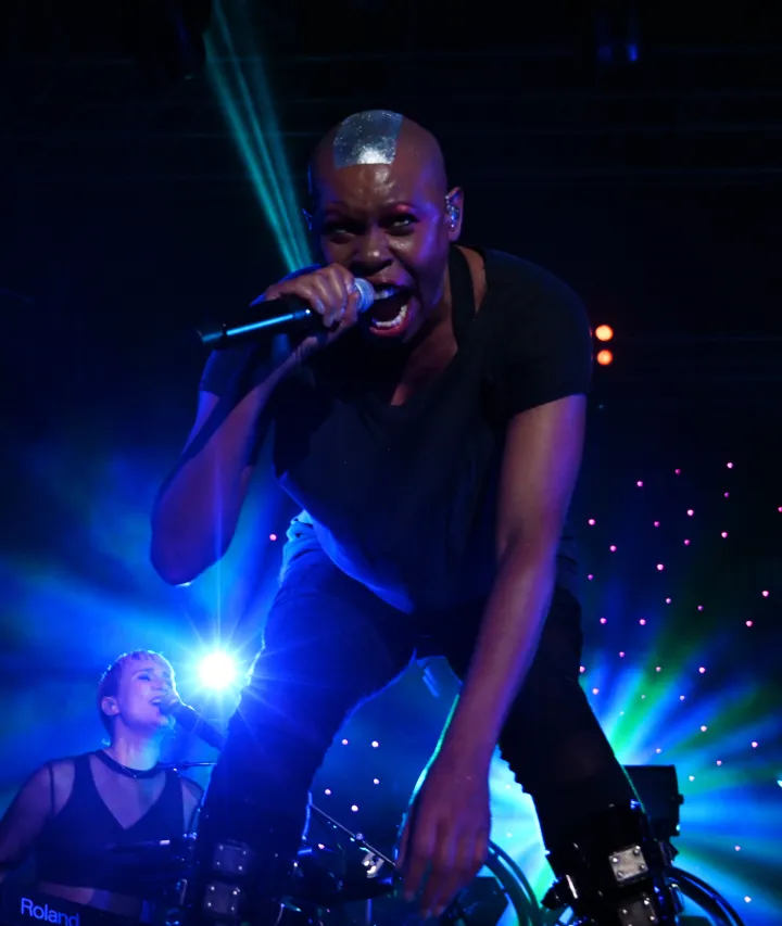 britanska grupa skunk anansie