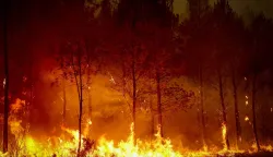 A forest rages in Saint-Jean-d'Illac, some 30km from Bordeaux, on July 26, 2026 as a wildfire has been ravaging the forest north of the Arcachon Basin (Gironde). The 220,000 people evacuated due to the massive wildfire in France's Gironde region will not be able to return home "until the fire has been brought under control", the local prefect said, also ruling out any normal workday on Monday in the affected towns, ahead of a possible worsening of the situation on Tuesday due to an expected rise in temperatures. (Photo by ROMAIN PERROCHEAU/AFP)