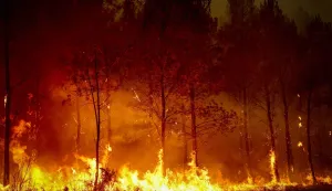 A forest rages in Saint-Jean-d'Illac, some 30km from Bordeaux, on July 26, 2026 as a wildfire has been ravaging the forest north of the Arcachon Basin (Gironde). The 220,000 people evacuated due to the massive wildfire in France's Gironde region will not be able to return home "until the fire has been brought under control", the local prefect said, also ruling out any normal workday on Monday in the affected towns, ahead of a possible worsening of the situation on Tuesday due to an expected rise in temperatures. (Photo by ROMAIN PERROCHEAU/AFP)