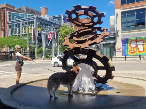 Toronto 2026