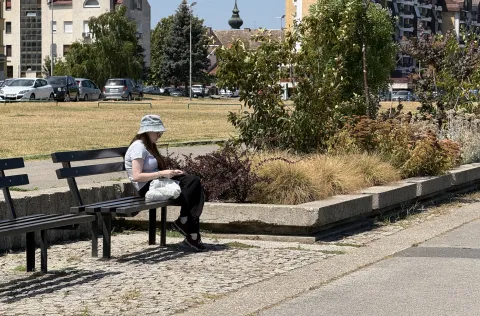 Osijek, 30. 07. 2026., krajobrazna arhitektura, hortikultura, parkovi, promenada, biljke, cvijeće, ljeto, UNIKOMSNIMIO BRUNO JOBST