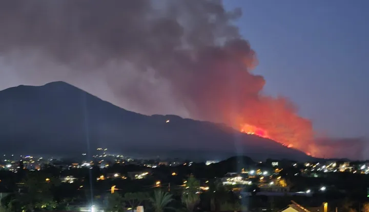 epa12290561 A large fire is raging in a green area on the slopes of Mount Vesuvius near Naples, Italy, 08 August 2025. A tall column of smoke has risen into the sky and is visible from Naples. Firefighters are on site to contain the blaze. EPA/CESARE ABBATE
