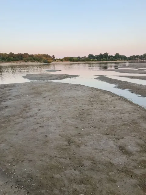 Dunav kod Batine - kolovoz 2026.