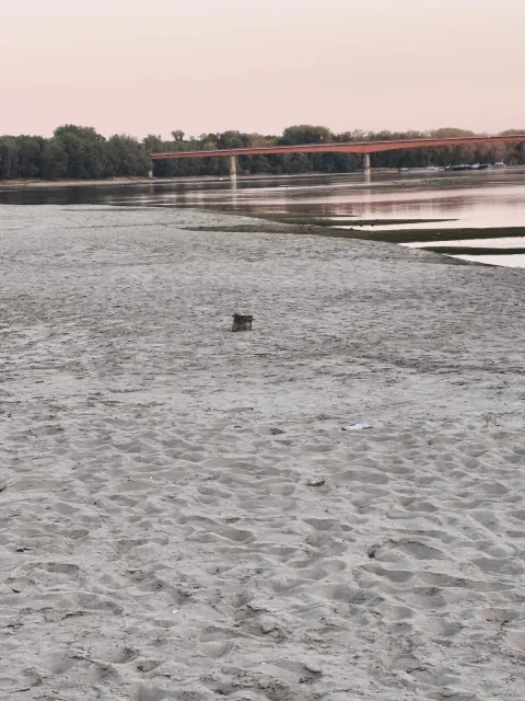 Dunav kod Batine - kolovoz 2026.
