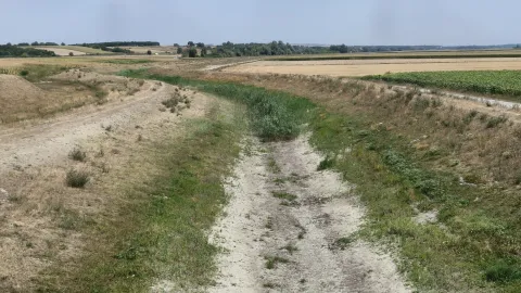 BARANJA - Presu&scaron;io i veliki lateralni kanal Zmajevac - Kneževi VinogradiKOLOVOZ 2026.