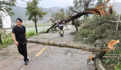 A man clears tree branches knocked down by Typhoon Bavi in Wenling, in China?s eastern Zhejiang province on July 12, 2026. Typhoon Bavi was downgraded to a severe tropical storm on July 12 after making landfall in eastern China, where authorities had evacuated nearly two million people in its path. (Photo by CN-STR/AFP)/China OUT