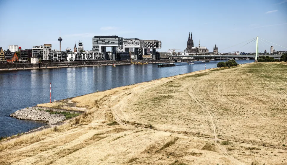 28 July 2026, North Rhine-Westphalia, Cologne: The meadows along the banks of the Rhine have turned a pale brown color due to the drought. Photo: Oliver Berg/dpa Photo: Oliver Berg/DPA